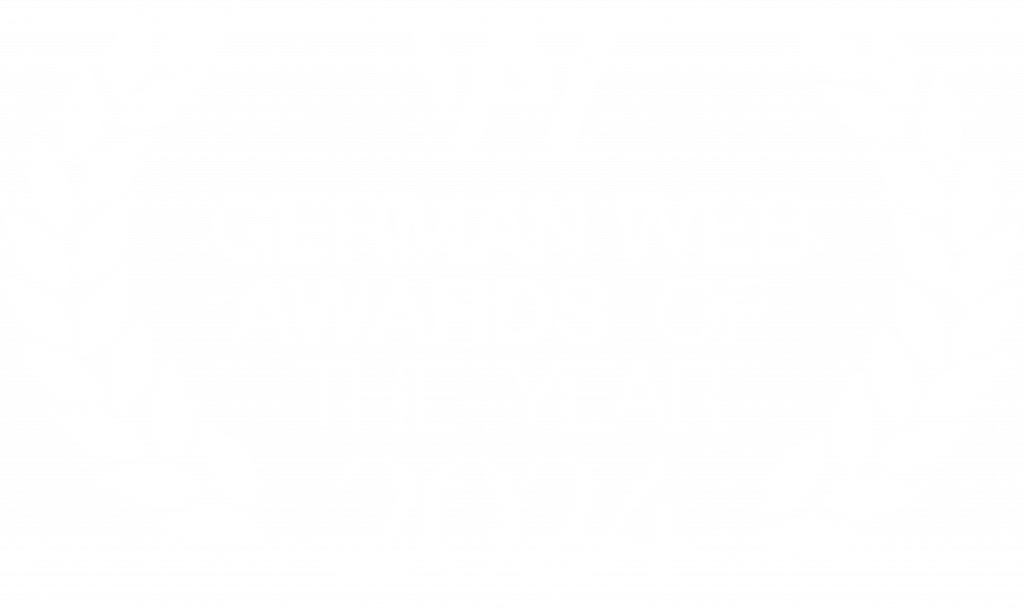 German Web Awards Winner 2024
